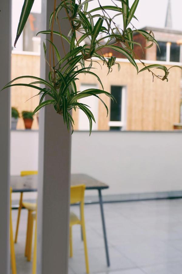 130Sqm Appartment With 20Sqm Terras And Free Parking Antwerp Luaran gambar