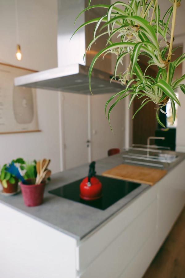 130Sqm Appartment With 20Sqm Terras And Free Parking Antwerp Luaran gambar